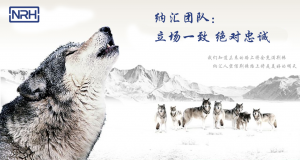 糖心视频在线观看的團隊精神